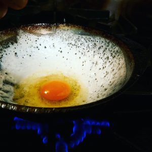 Egg Hopper 