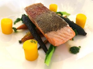 ocean_trout