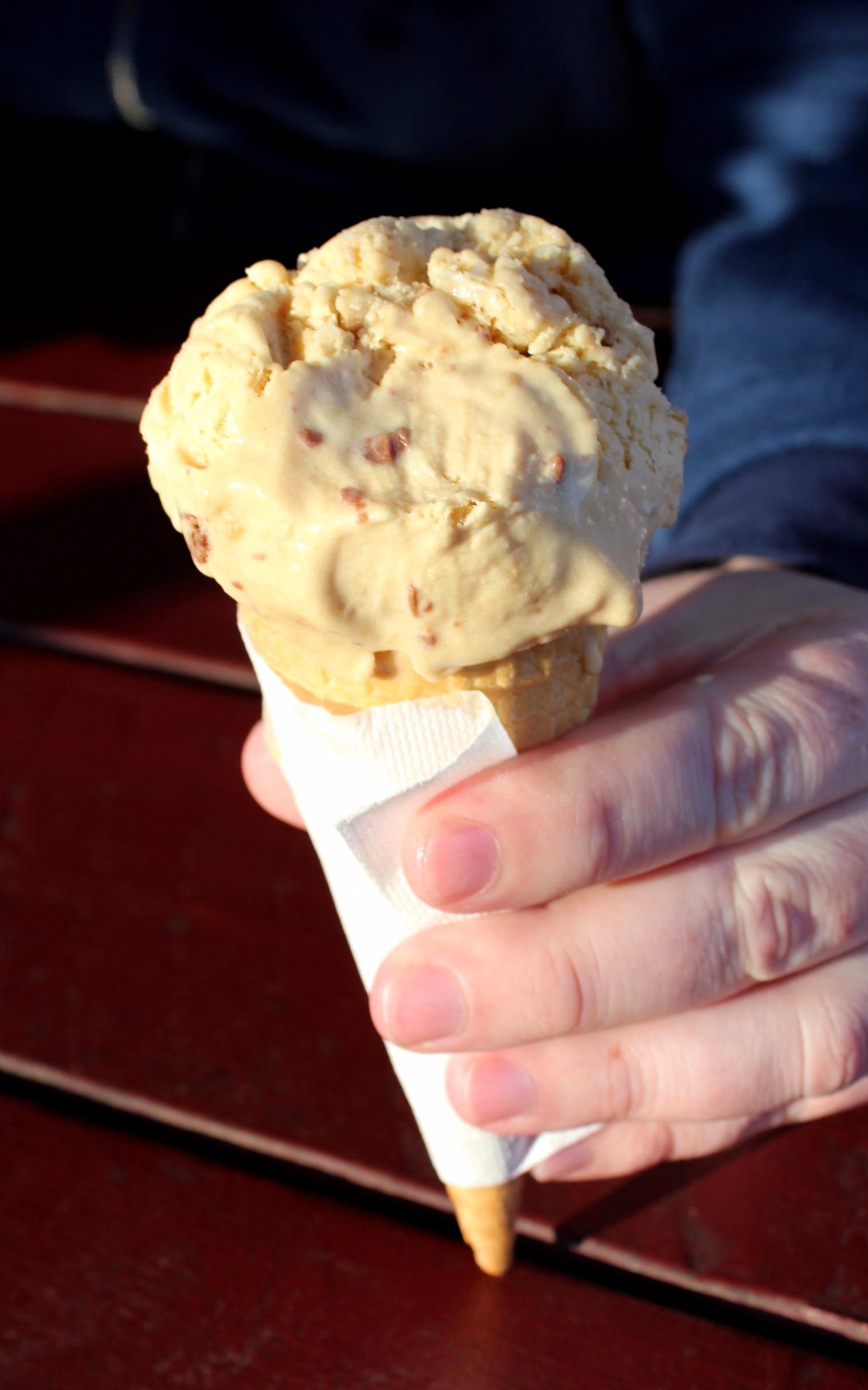 Lentil Burgers and the Mogo Ice Creamery Karen Really Likes Food